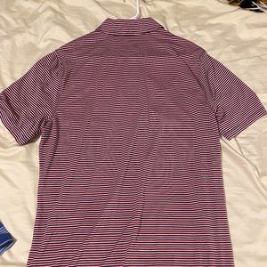 Pink and Navy Blue Striped Men's Saddlebred Polo